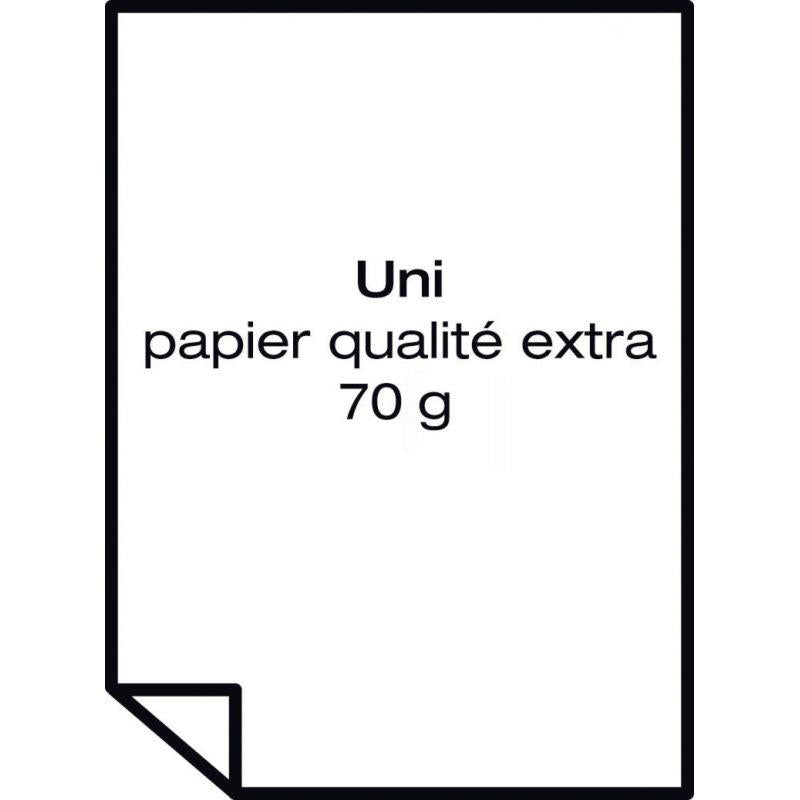 Carton de 5 recharges papier 65x100cm uni 60gr