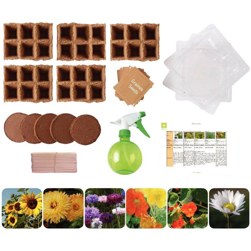 Carton de 30 sachets de graines de fleurs
