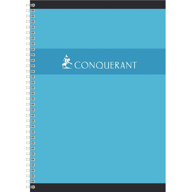 intégrale, pages, A4, réglure seyès,