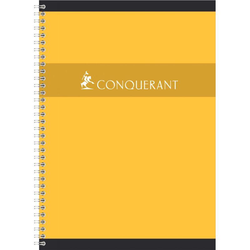 intégrale, pages, A4, réglure seyès,